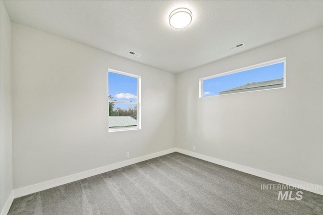 carpeted spare room featuring a wealth of natural light