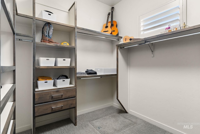 walk in closet featuring light carpet