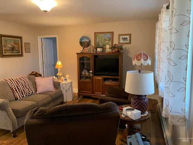 living room featuring hardwood / wood-style floors