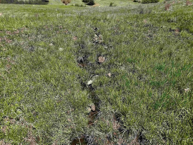TBD Upper Fords Creek, Orofino, ID 83544