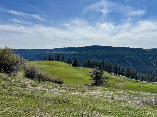 TBD Upper Fords Creek, Orofino, ID 83544