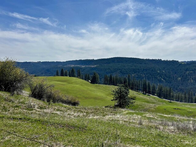 TBD Upper Fords Creek, Orofino, ID 83544