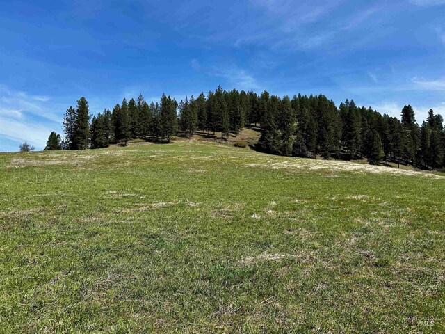TBD Upper Fords Creek, Orofino, ID 83544