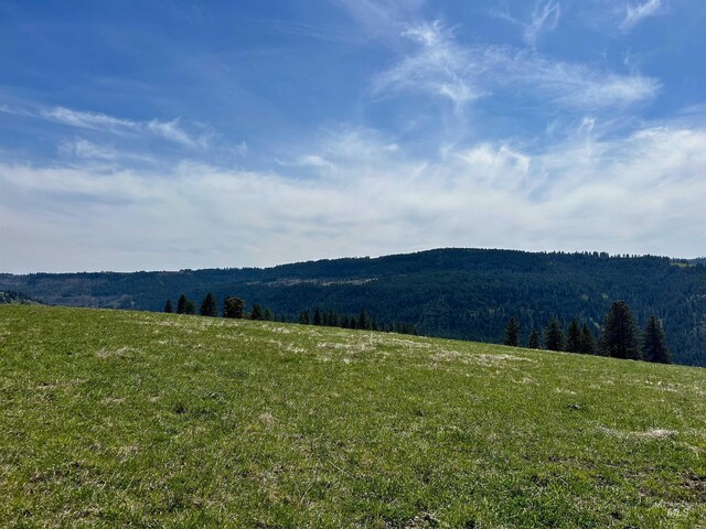 TBD Upper Fords Creek, Orofino, ID 83544