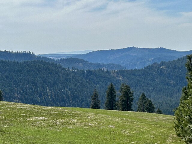 TBD Upper Fords Creek, Orofino, ID 83544