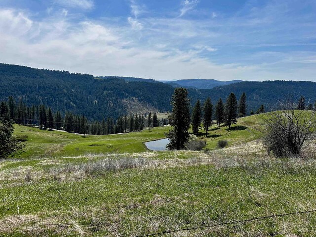 TBD Upper Fords Creek, Orofino, ID 83544