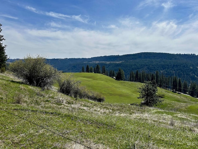 TBD Upper Fords Creek, Orofino, ID 83544