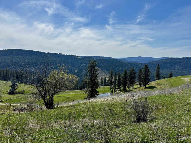 TBD Upper Fords Creek, Orofino, ID 83544