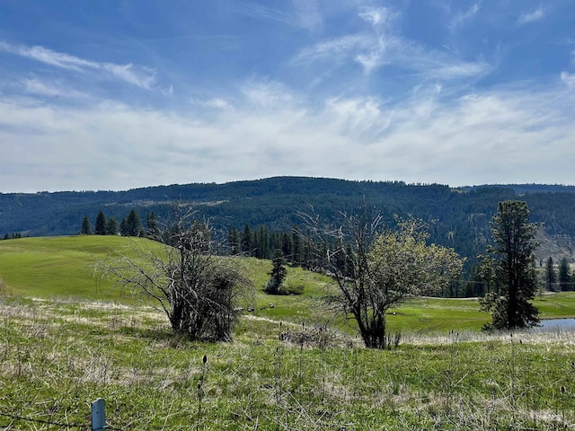 TBD Upper Fords Creek, Orofino, ID 83544