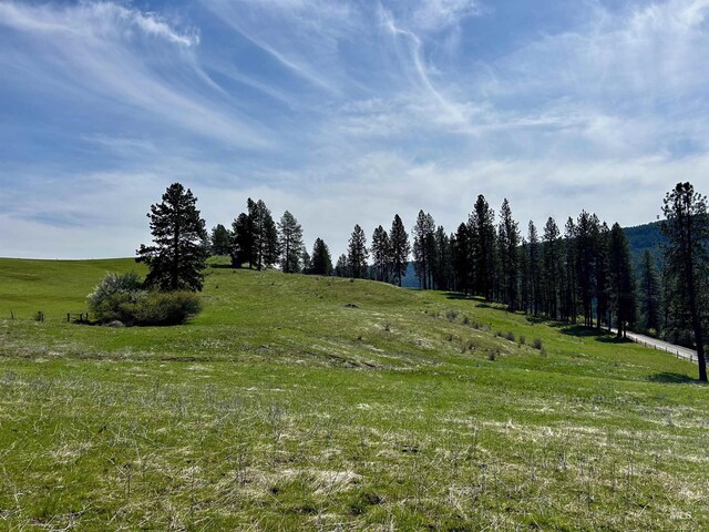 TBD Upper Fords Creek, Orofino, ID 83544