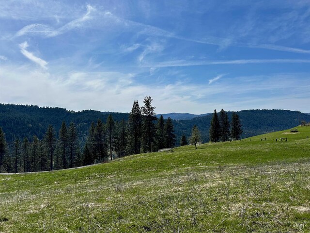 TBD Upper Fords Creek, Orofino, ID 83544