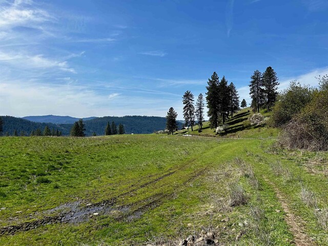 TBD Upper Fords Creek, Orofino, ID 83544