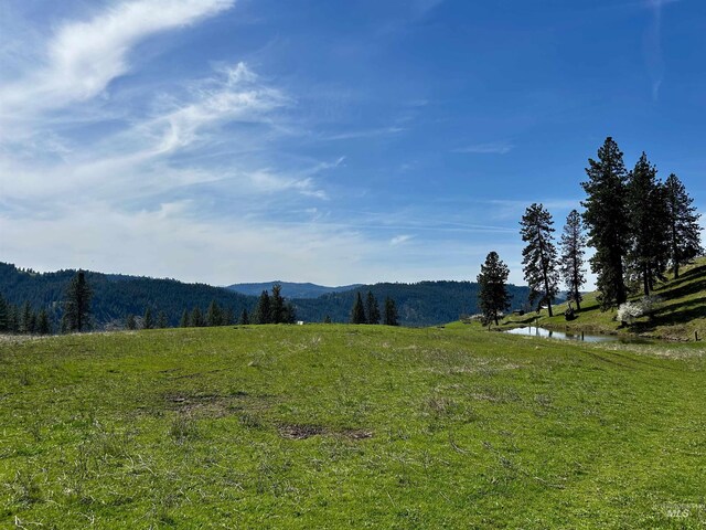 TBD Upper Fords Creek, Orofino, ID 83544