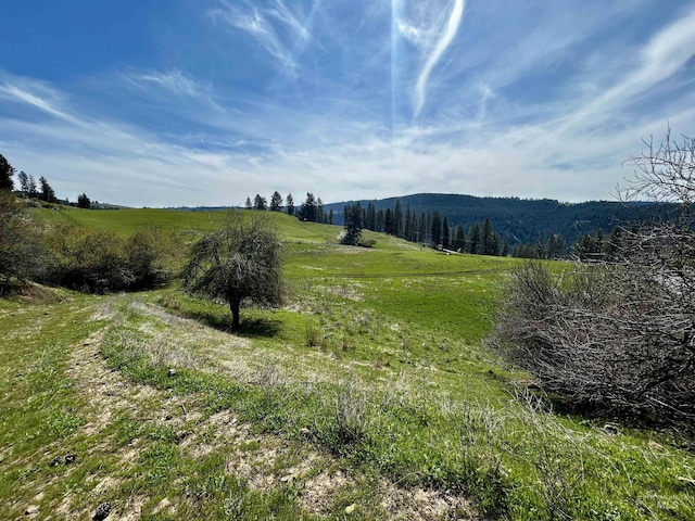 TBD Upper Fords Creek, Orofino, ID 83544