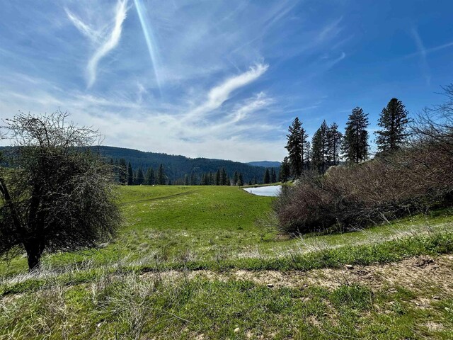 TBD Upper Fords Creek, Orofino, ID 83544