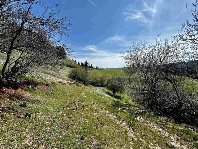 TBD Upper Fords Creek, Orofino, ID 83544