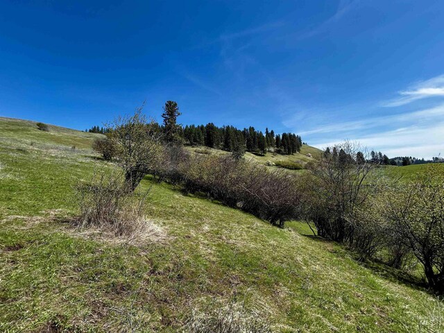TBD Upper Fords Creek, Orofino, ID 83544