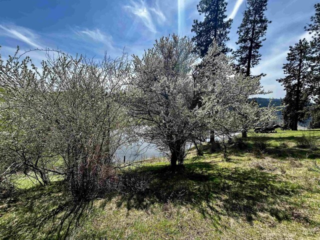 TBD Upper Fords Creek, Orofino, ID 83544