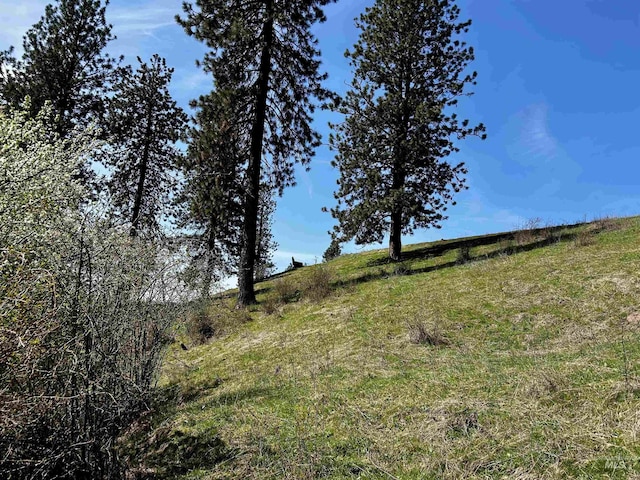 TBD Upper Fords Creek, Orofino, ID 83544