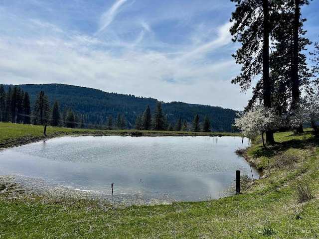 TBD Upper Fords Creek, Orofino, ID 83544