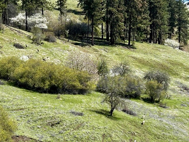 TBD Upper Fords Creek, Orofino, ID 83544