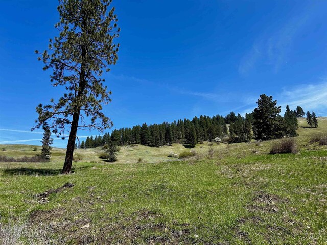 TBD Upper Fords Creek, Orofino, ID 83544