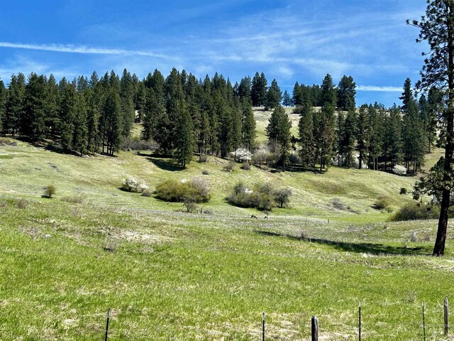 TBD Upper Fords Creek, Orofino, ID 83544