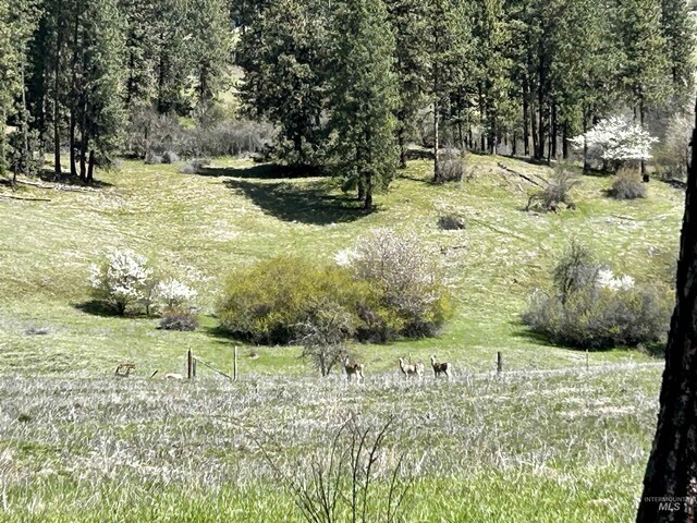 TBD Upper Fords Creek, Orofino, ID 83544