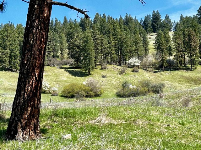 TBD Upper Fords Creek, Orofino, ID 83544
