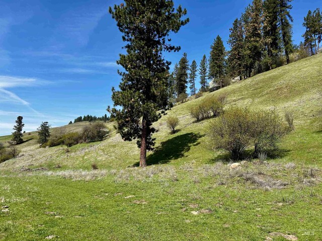 TBD Upper Fords Creek, Orofino, ID 83544