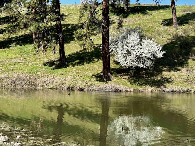 TBD Upper Fords Creek, Orofino, ID 83544