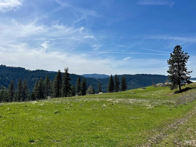 TBD Upper Fords Creek, Orofino, ID 83544