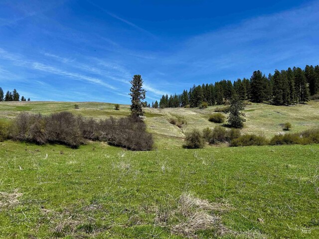 TBD Upper Fords Creek, Orofino, ID 83544