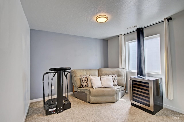 172 S Echo Canyon Ave, Meridian, ID 83642 - living area with baseboards, visible vents, and carpet