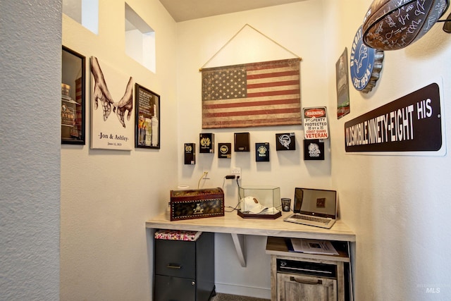 172 S Echo Canyon Ave, Meridian, ID 83642 - office space featuring a textured wall