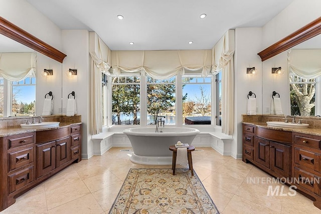 bathroom featuring vanity, a tub to relax in, and a wealth of natural light