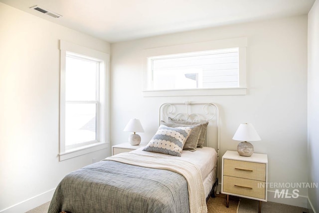 6104 S Apex Ave, Meridian, ID 83642 - carpeted bedroom with multiple windows