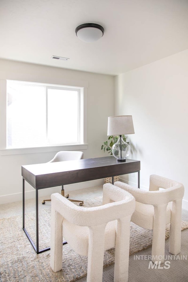 6104 S Apex Ave, Meridian, ID 83642 - office space with carpet flooring and baseboards