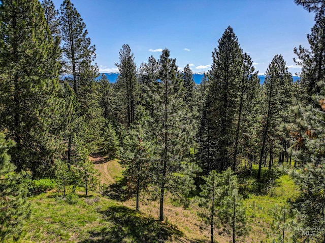 LOT15 Northwood Ct, Mccall, ID 83638