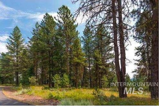 LOT15 Northwood Ct, Mccall, ID 83638