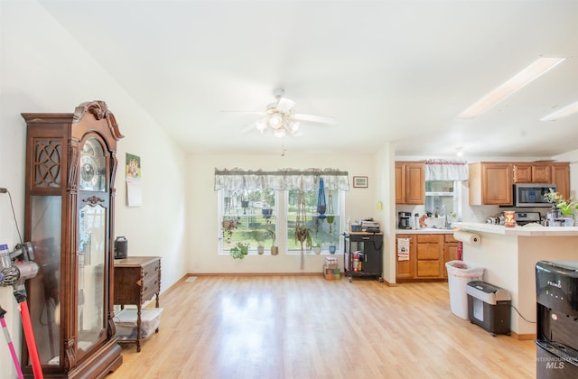 518 N 42nd, Nampa, ID 83687 - kitchen featuring stainless steel microwave, light countertops, light wood-style floors, and plenty of natural light