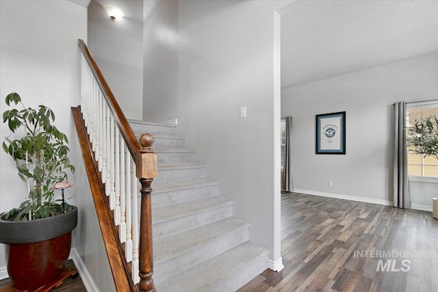 staircase featuring hardwood / wood-style flooring