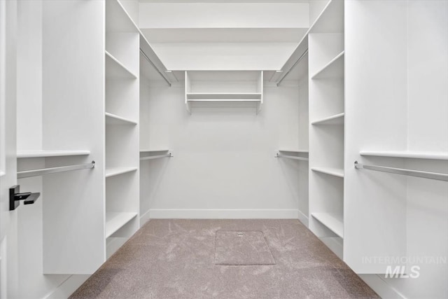 walk in closet with light colored carpet