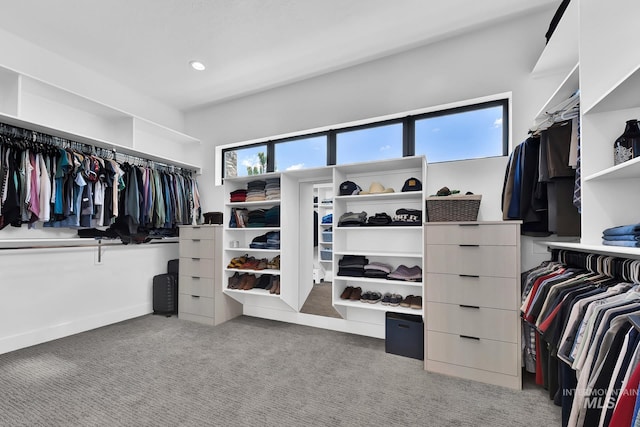 6553 S Pemberley Way, Meridian, ID 83642 - spacious closet with carpet flooring