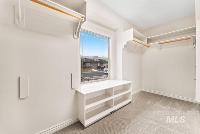 walk in closet featuring carpet