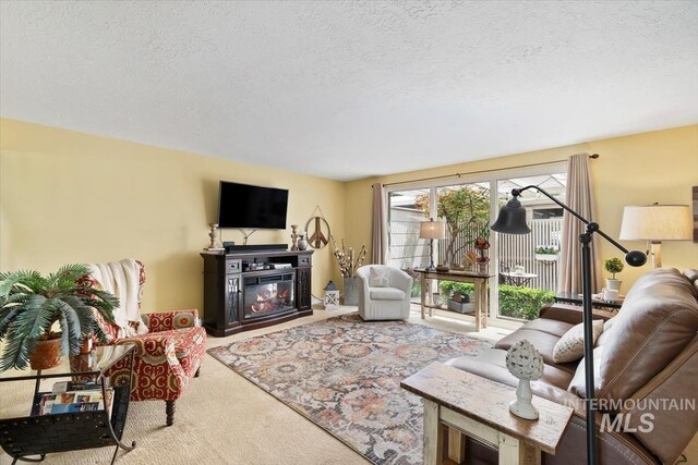 3001 S Roosevelt St Unit 9, Boise, ID 83705 - living area with carpet floors, a textured ceiling, and a glass covered fireplace