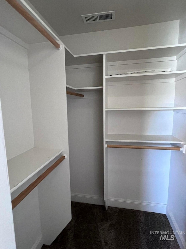 322 Linden Ave, Twin Falls, ID 83301 - spacious closet with carpet