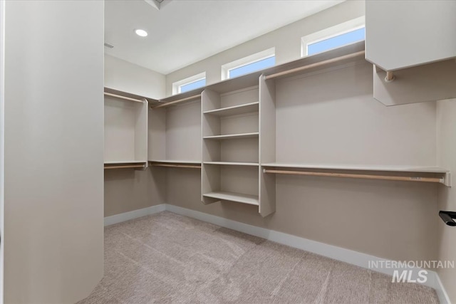 walk in closet with carpet flooring