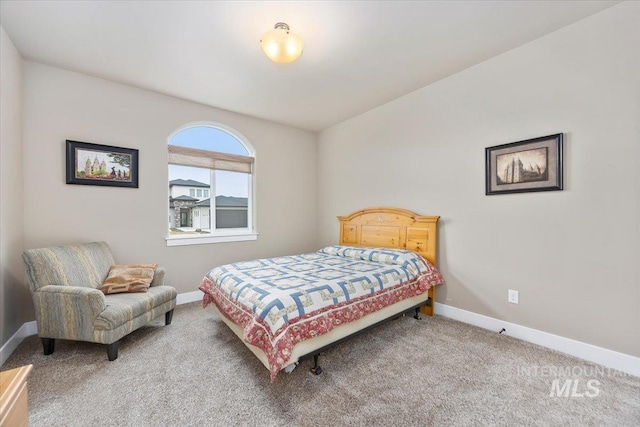 bedroom with carpet