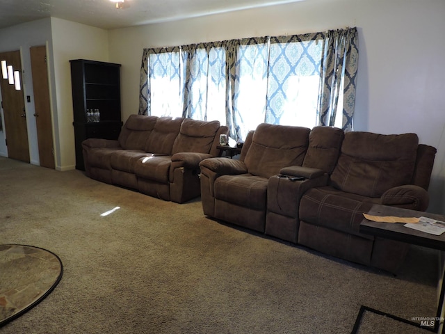 living area with carpet flooring